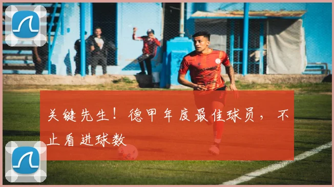 关键先生！德甲年度最佳球员，不止看进球数