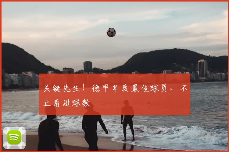 关键先生！德甲年度最佳球员，不止看进球数